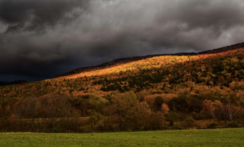 Strength and Resilience